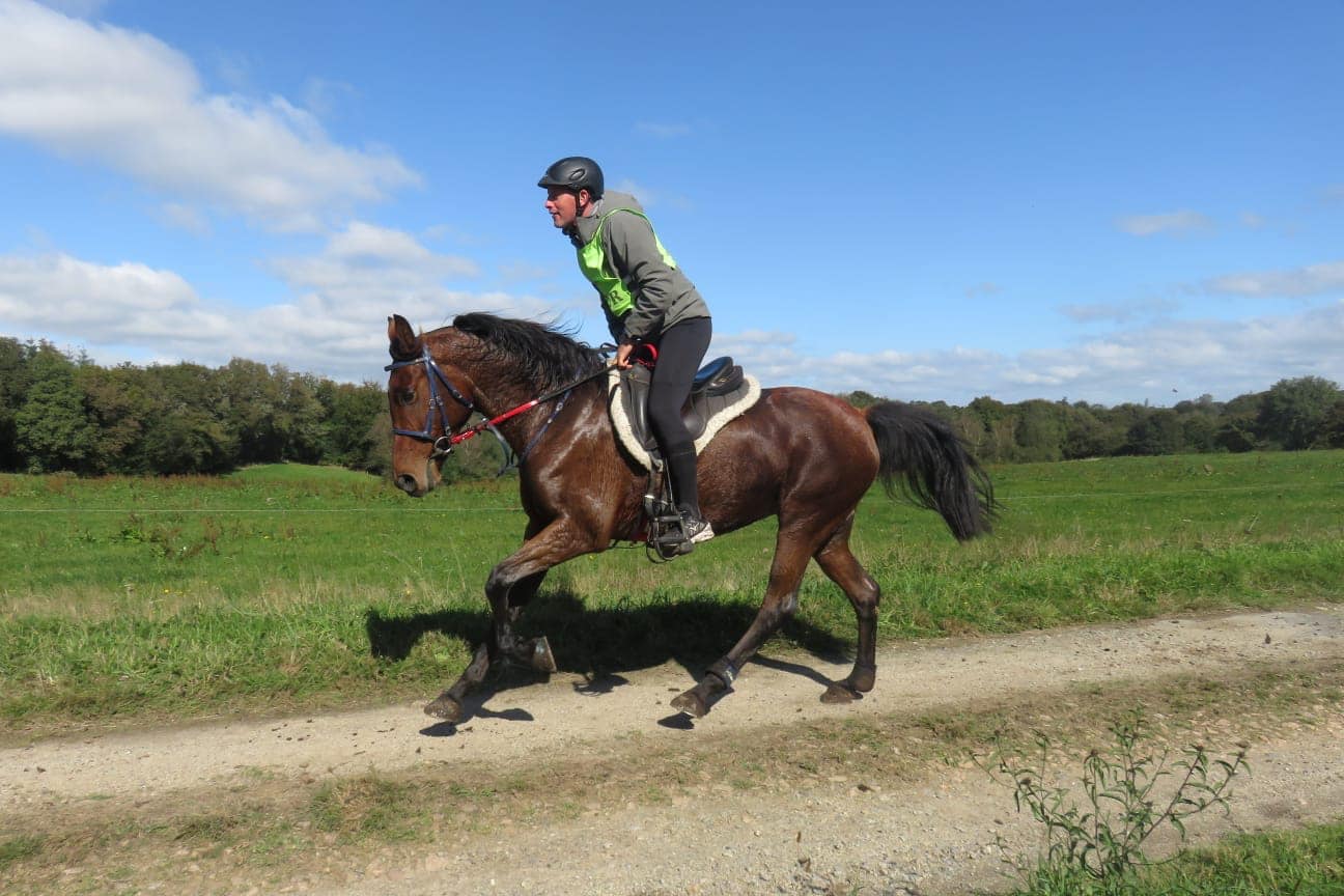 120700625_10222676487848228_269745423201117388_n