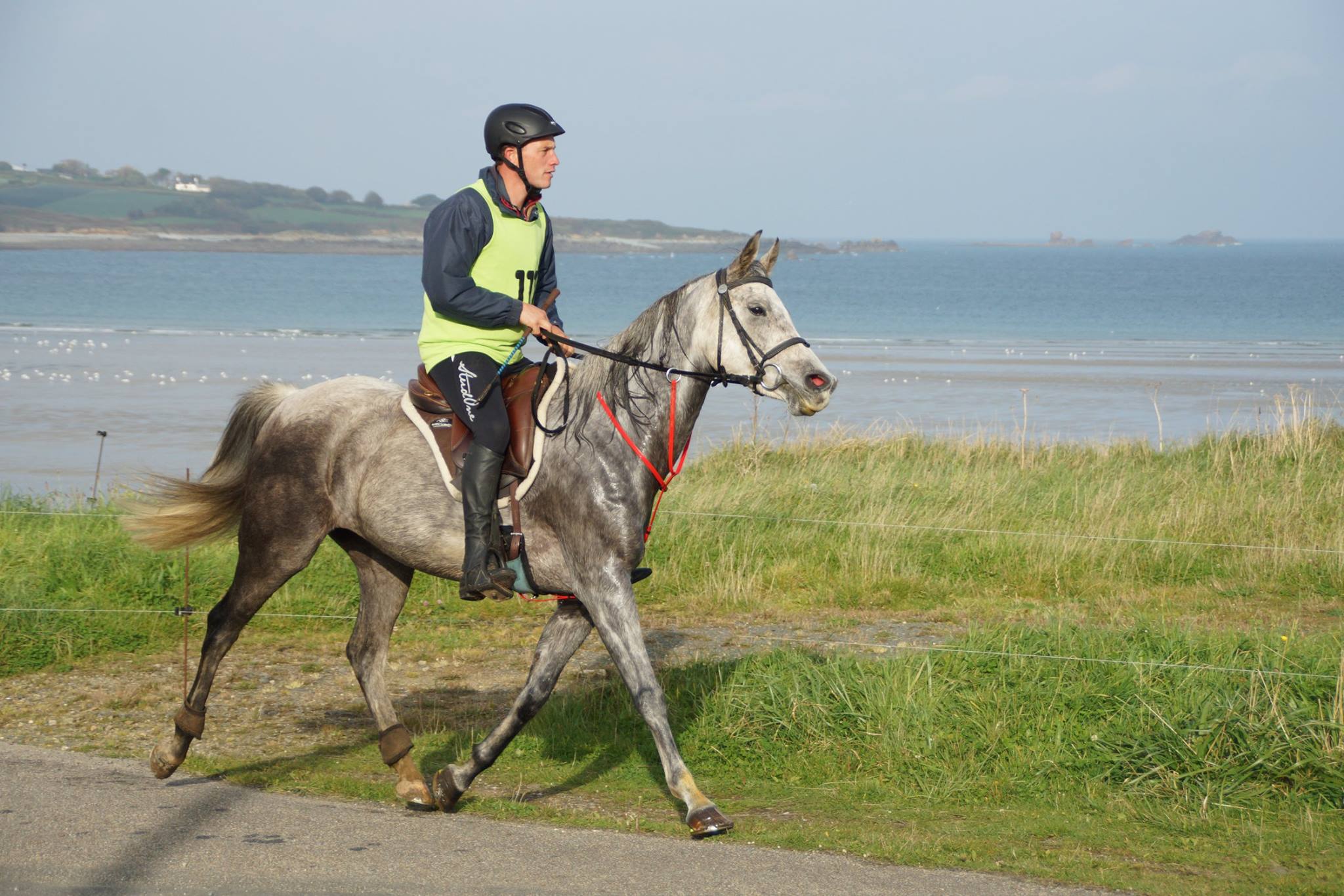 12094886_1147387328624454_5123637661925007486_o