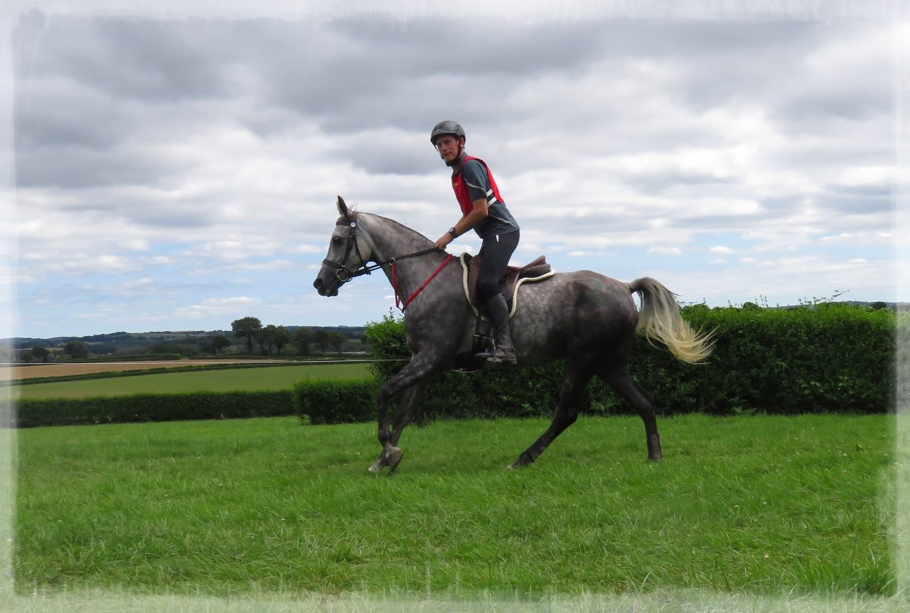 13958130_1371094349586757_5047752946531767755_o