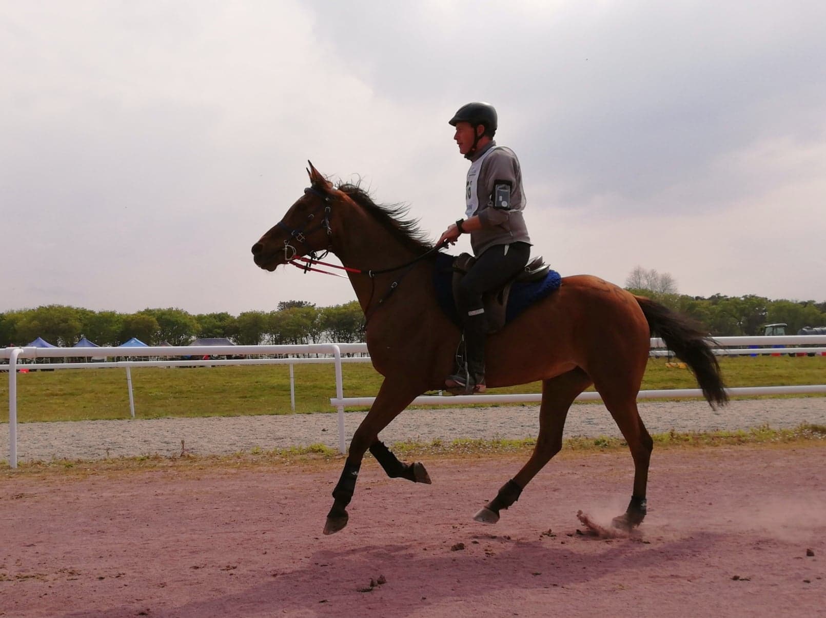 293753197_909073663828573_6381230523359923724_n